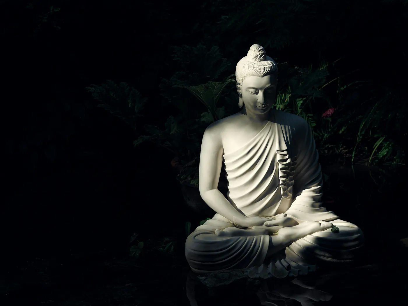 Buddha Meditation